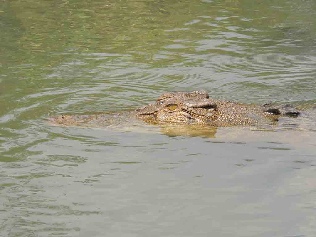 75 - Kakadu National Park - Australia