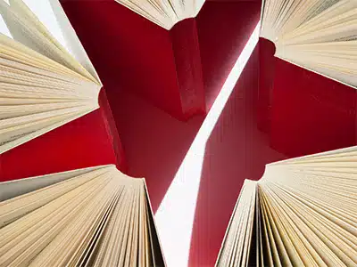 âAlberi e gente nuova per il Pianetaâ: appuntamento a Beirut con Francesco Ferrini