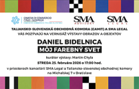Occhi puntati sulla mostra dellâartista slovacco Daniel Bidelnica