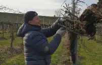 Vino: il lambrusco mantovano Zara Red campione del mondo