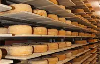 Grana Padano sets record exports, strengthens global leadership