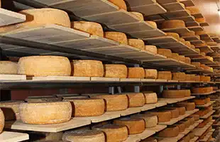 Grana Padano: la DOP piÃ¹ consumata al mondo protagonista a Tuttofood