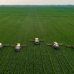 Mattarella: Agriculture at the heart of Italy's future