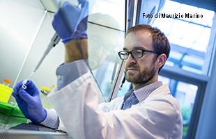  New âmolecular torchâ sheds light on genetic diseases