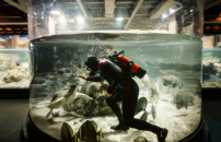 âHyperseaâ: a Genova gli scatti di Gianmarco Maraviglia