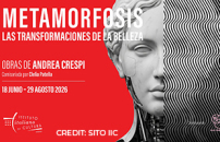 Mostre, âMetamorfosis: Las transformaciones de la bellezaâ di Andrea Crespi