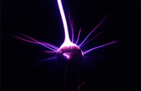 UniTrento and Google eewrite the rules of Computational Physics