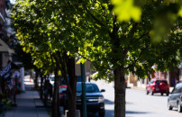 Eâ QUASI PRIMAVERA <br> MA OCCHIO ALLO SMOG