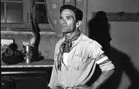 Appuntamento con Pier Paolo Pasolini al cinema Metropolis di Amburgo
