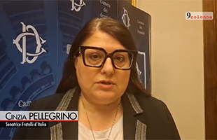 CCIE, Pellegrino (FDI): ‘porto sicuro’ per nostre imprese all’estero, fare rete