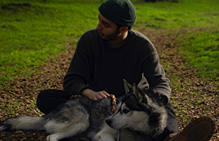 Fido prima del ferro: i cani da 14.000 anni al fianco dell’uomo