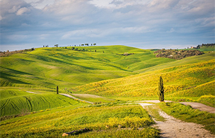 La Toscana promuove il suo âoro vedeâ allâestero