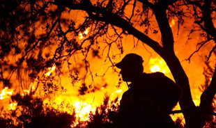 INCENDI, UNCEM: +256% IN BOSCHI, COSTO 1 MILIARDO EURO 