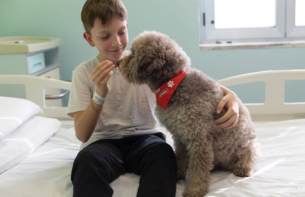 PET THERAPY IN CORSIA, <br> CAMPAGNA SMS SOLIDALI