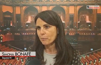 Cultura, BonafÃ¨ (Pd): case museo personaggi illustri per conoscere Italia   