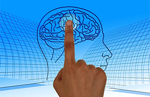 Lâinvecchiamento sano influenza linguaggio e capacitÃ  cognitive: ricerca dellâUniversitÃ  di Udine 