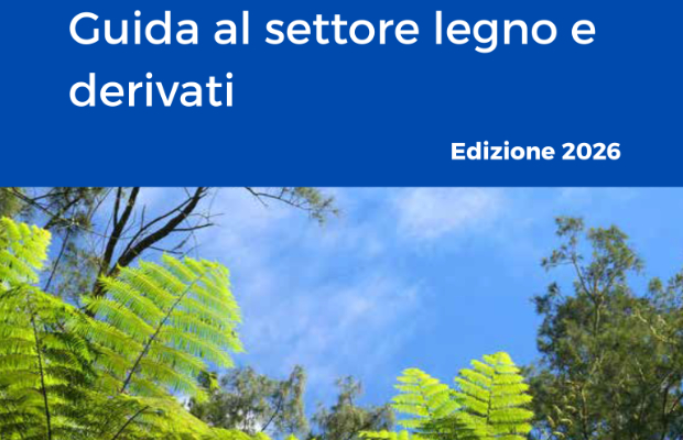 Ambasciata San JosÃ©: nuova guida al settore del legno in Costa Rica