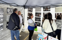 COMITES brings Italian heritage to life at Sydney celebration