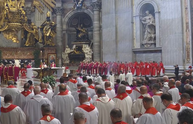 IL PAPA: PORRE IL BENE <BR> COME PERNO DELLA VITA 