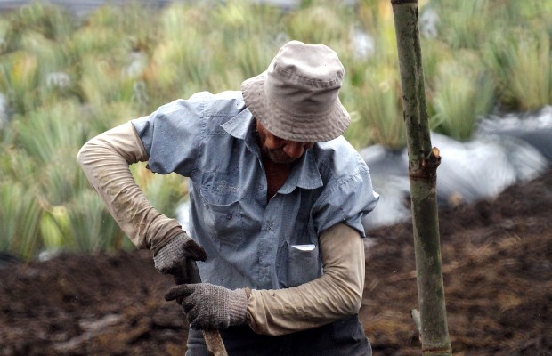 Il lavoro straniero <br> fa l’Italia più ricca  
