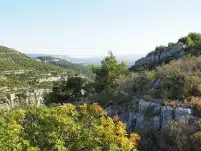 Lungo la strada del vino del Carso