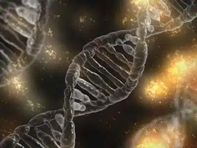 SALUTE, NUOVE VARIAZIONI DEL DNA MODIFICANO IL RISCHIO DI TUMORI MAMMARI E ALLA PROSTATA