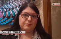 Violenza donne, Pellegrino (FdI): 25 novembre a Ostia opera interattiva 