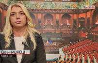Salute, Murelli (Lega): intergruppo su endocrinologia e diabete al fianco di piccoli pazienti
