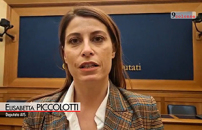 Scuola: max 20 alunni per classe e fondi dalle private, Avs sfida Valditara