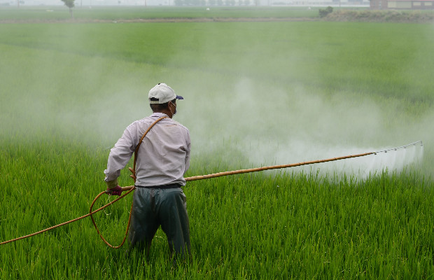 AGRICOLTURA, PIATTAFORMA <BR> INDENNIZZI IN TILT 