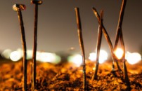 'I figli dei chiodi' di Alessandro Morbidelli