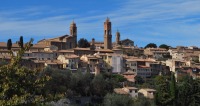 Vino e tartufi nella Toscana genuina di Montalcino