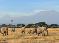 Kenya