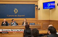 UniversitÃ , Piccolotti (Avs): da governo muro di fake news contro nostre proposte  