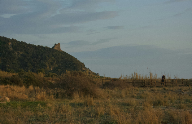 Ascea, il gioiello del Cilento tra spiagge e filosofia