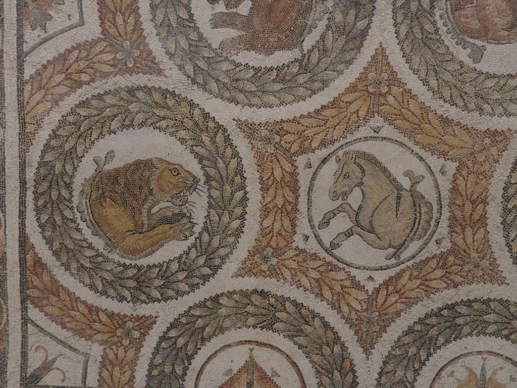 Particolare di mosaico presso il Museo Archeologico di Sousse - Tunisia 