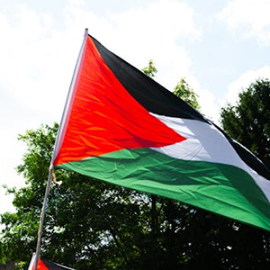 Dozens of boats to Gaza to bring food to Palestinians