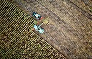 Accordo Bei e Banca di Sondrio per sostenere le imprese agricole italiane con 300 milioni di euro