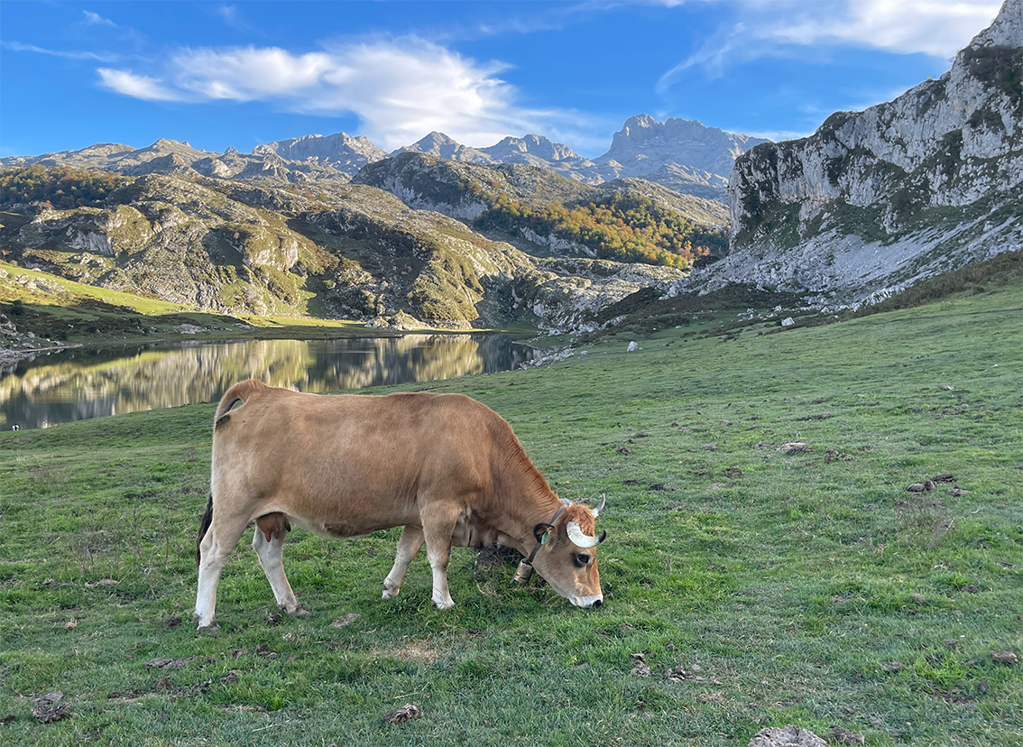 Laghi di Covalonga - Asturie