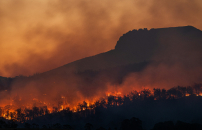 ROGHI FRANCIA-SPAGNA,<br>OLTRE 220MILA EVACUATI