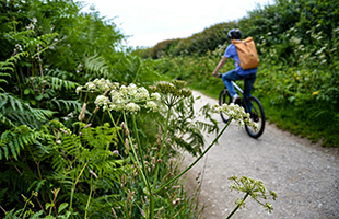 In vacanza sulla ciclovia dell’Appennino 