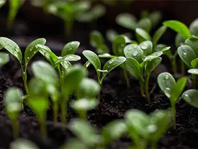IN ANGOLA IL NUOVO STABILIMENTO AGROALIMENTARE DI ANDREOTTI IMPIANTI