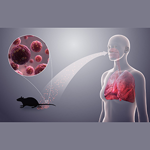 Hantavirus slows, Ebola accelerates: the geography of health alerts shifts on social media
