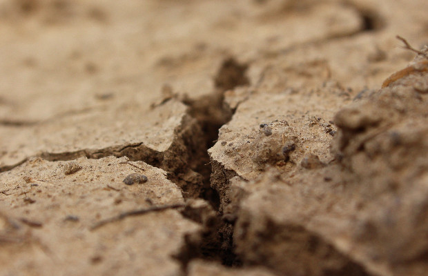  La risposta italiana <br> alla crisi climatica