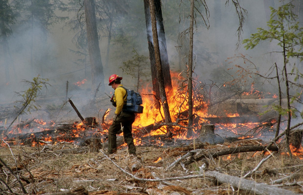 INCENDI, BRUCIATA <BR> AREA GRANDE COME ROMA