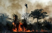 INCENDI, RADDOPPIATI <BR> I TERRENI BRUCIATI