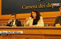 Animali, Pastorella (Az): certificazione cage-free seria e credibile sarebbe importante 