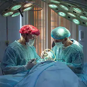 World's first beating-heart transplant in Padua