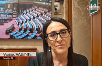 Diritti umani, Valente: necessaria autoritÃ  nazionale indipendente