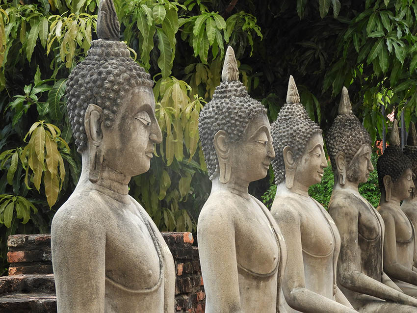 1085 - Tempio di Wat Yai Chai Mongkhon di Ayutthaya - Thailandia